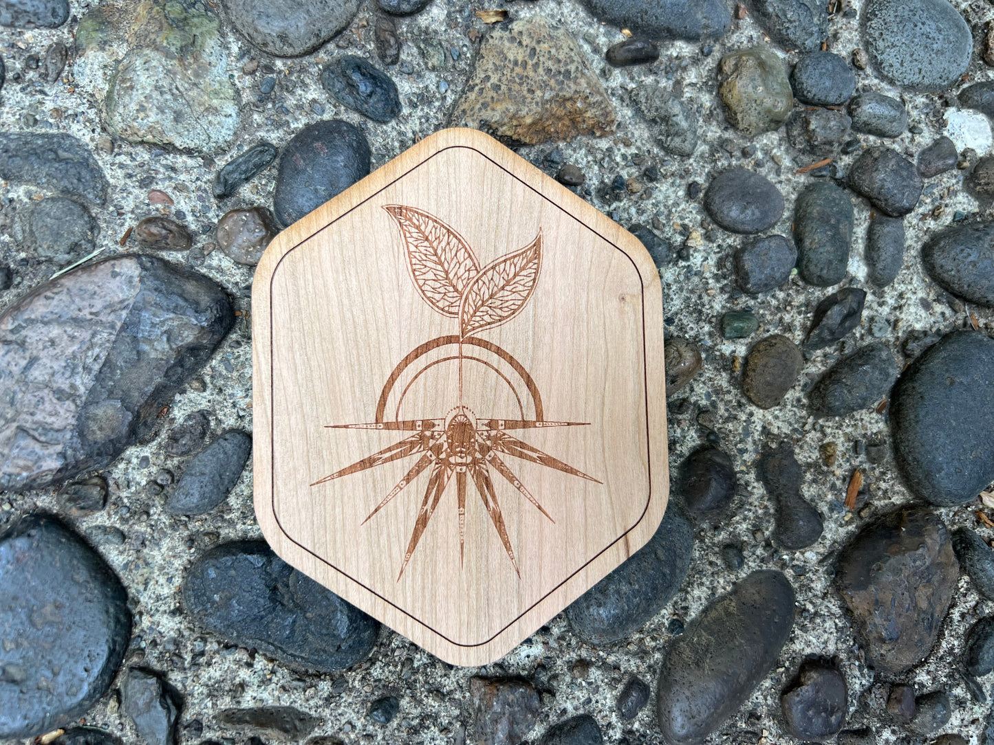 Wood Sticker - Seed